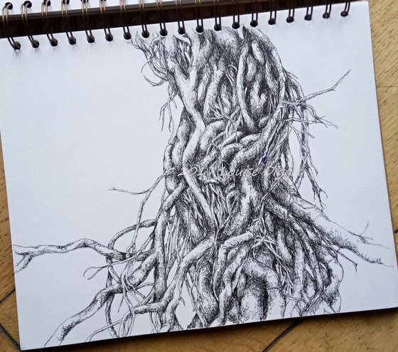 Surface Roots