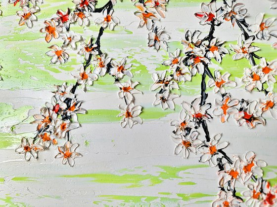 Cherries in the spring 2