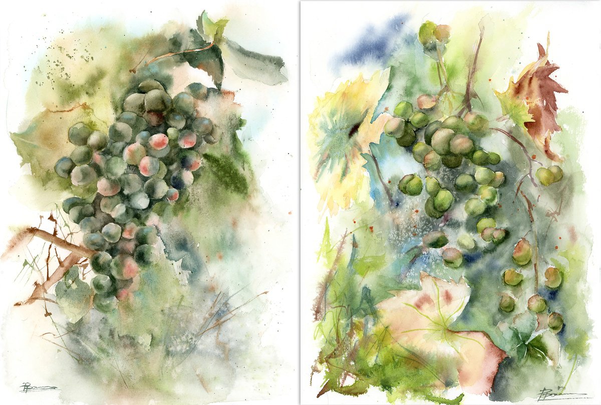 Impressionistic Watercolour , Grape Branch - Set Of 2 By Olga Tchefranov (Shefranov), 20 X 14, Artwork For Sale On Artfinder