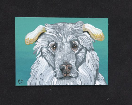 ACEO ATC Original Painting Great Pyreness Pet Dog Art-Carla Smale