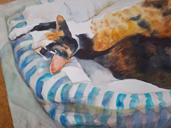 A pair of Abyssinian cats (watercolor painting)