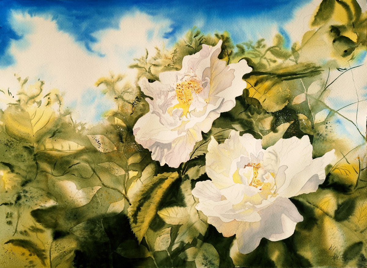 Impressionistic Botanical Watercolour By Aneta Gajos, 30 X 22, Wild Rose, Original Artwork