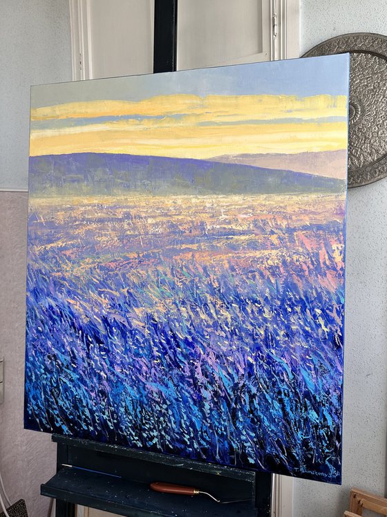 Field at Sunrise III 70x80cm