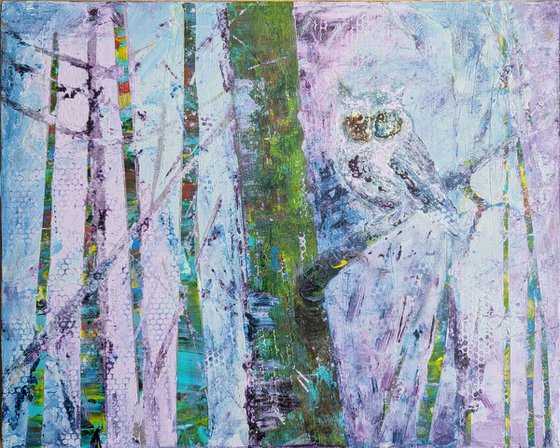 Find an owl