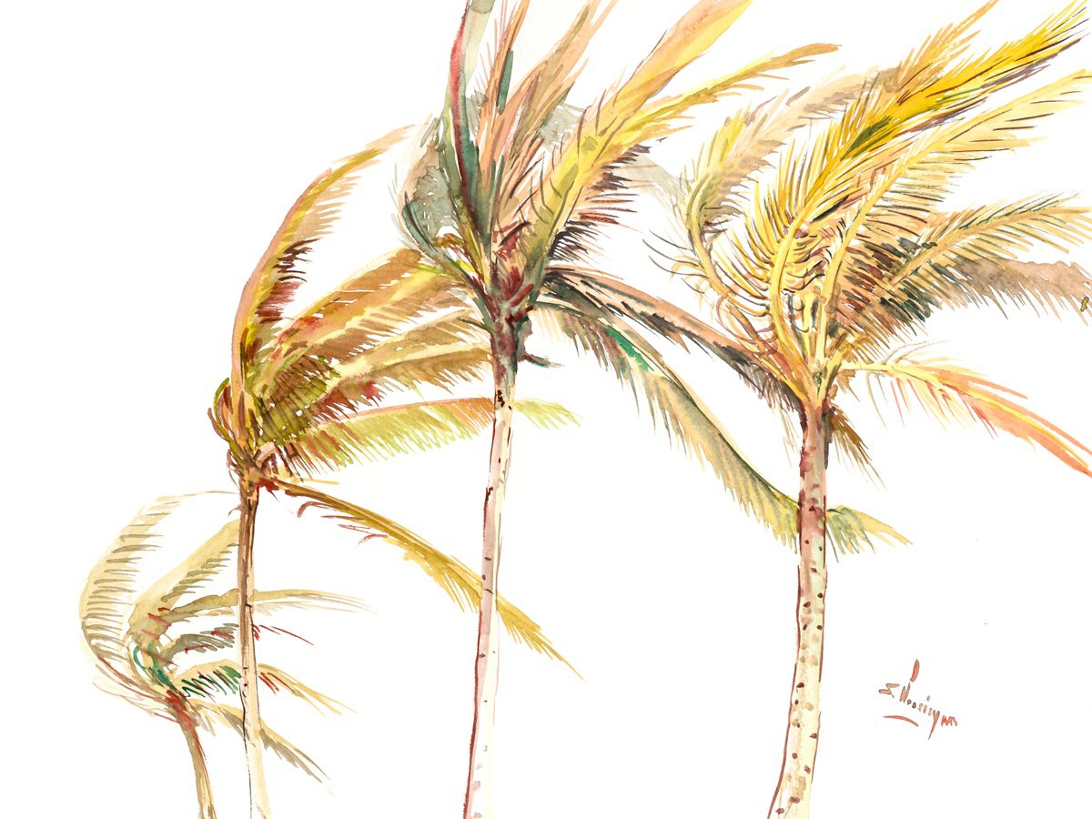 Botanical Watercolour By Suren Nersisyan, 24 X 18", Tropical Beach. Coconut Palm Trees, Original Artwork