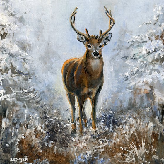 'A lovely frosty morning'