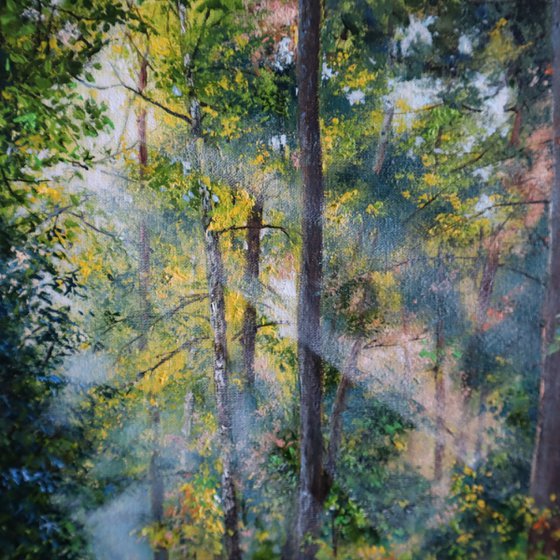 Summer Forest