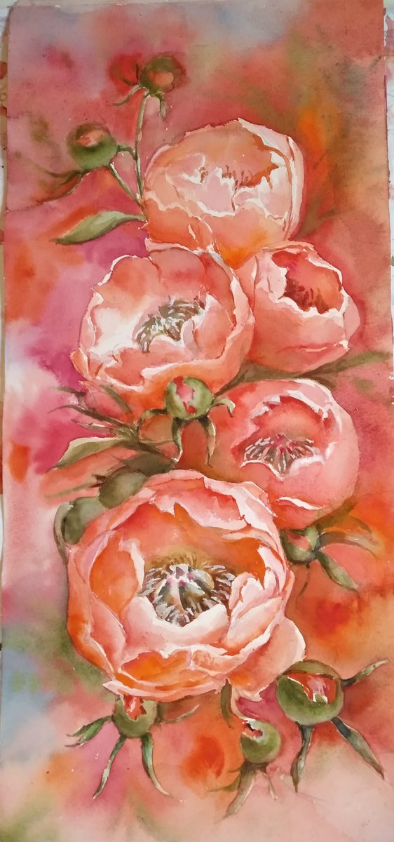 Peonies by Nata New
