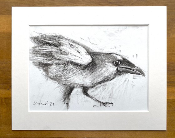Charcoal Raven #05