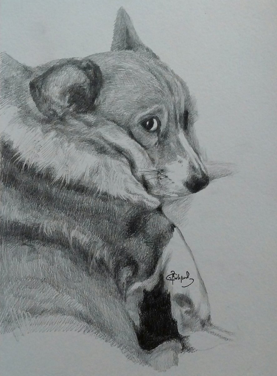 Corgi sadness by Vahan Shakhramanyan