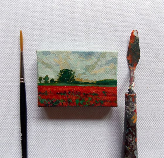 Poppy Field #1