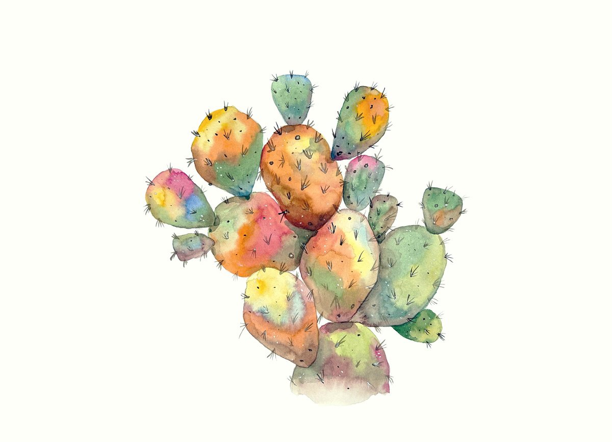 Watercolor Cactus 4 by Irina Anis