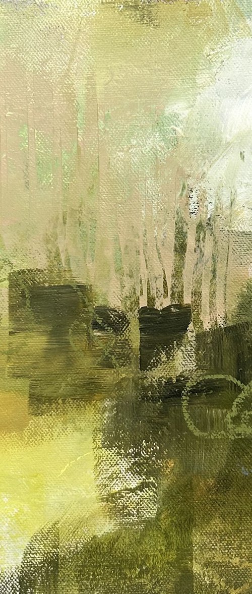 The Light in the Darkness by Linda McDonald