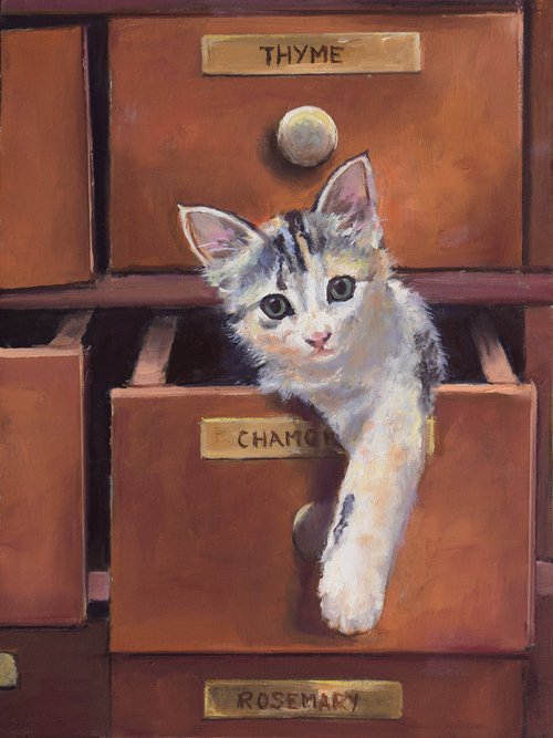 Naughty little cat in a drawer by Lucia Verdejo