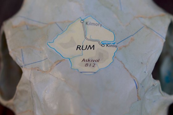 Rum Island