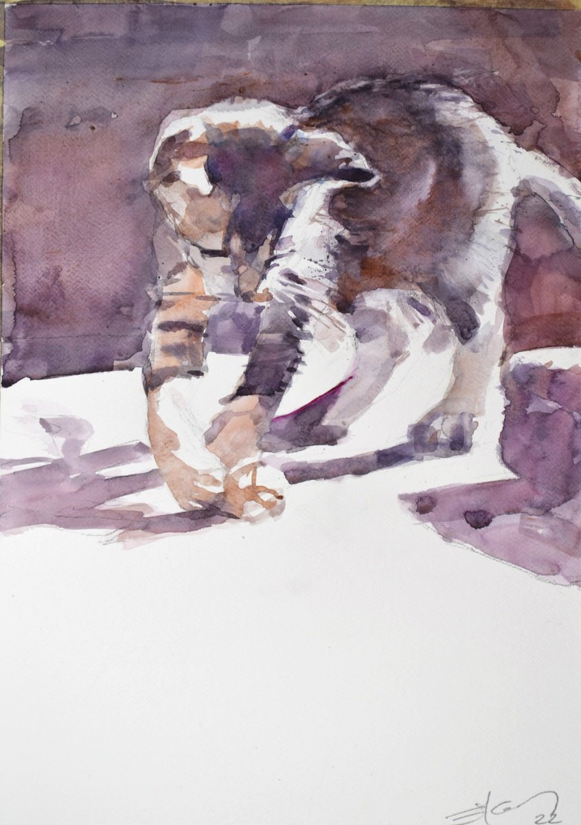 Expressive Animal Watercolour By Goran Zigolic Watercolors, 14 X 20, The Young Cat, Original Artwork