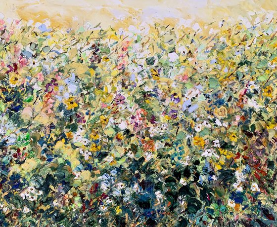 Meadow in summer