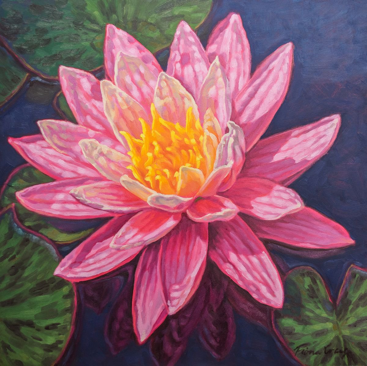 Water Lily Study 5 by Fiona Craig