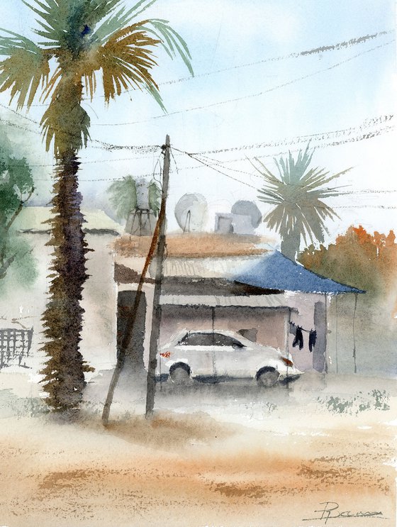 Palm and Shadows