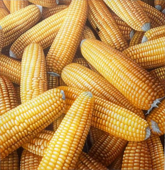 Still life oil painting:Corns