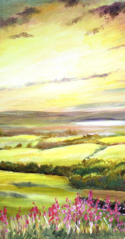 Sunset over the Downs by Rod Bere