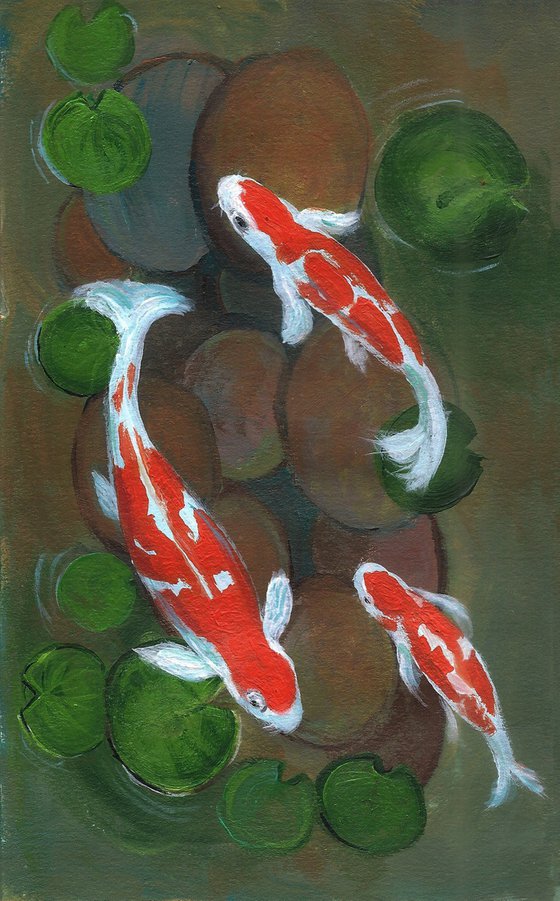 Koi fish in water lily pond