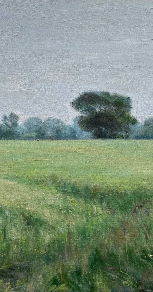 Summer field by Bohdan Vykhrenko