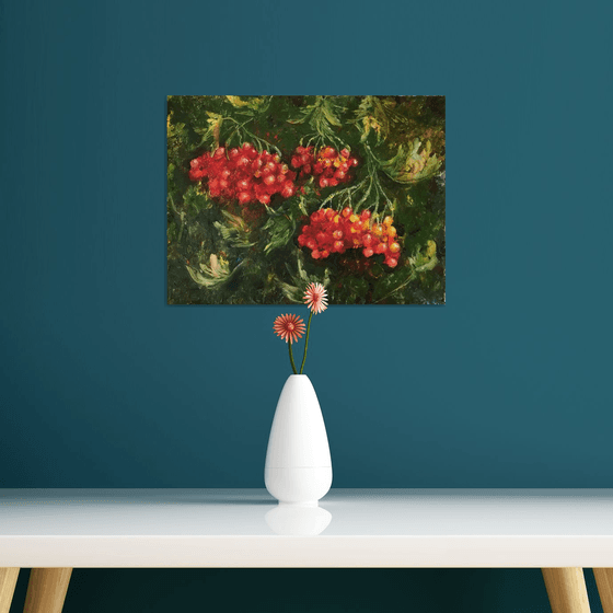 Red Viburnum