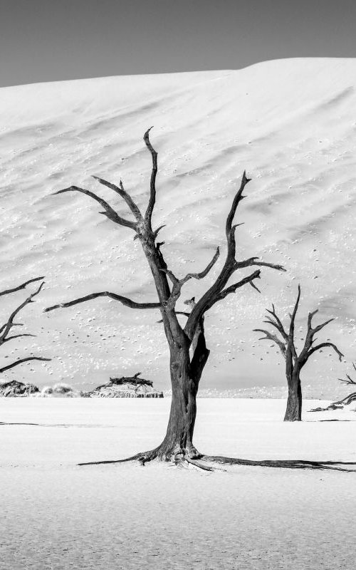 Deadvlei II by Kevin Standage