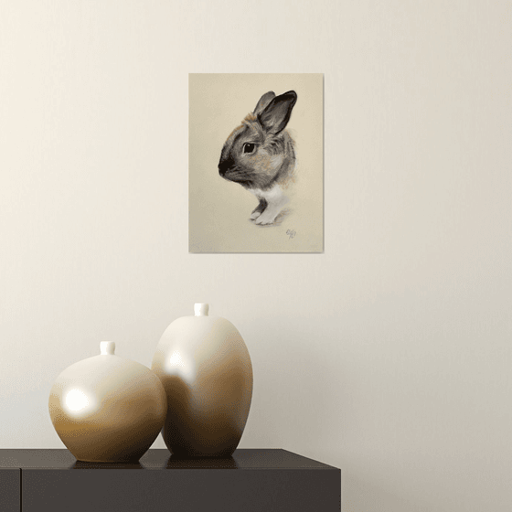 Portrait of a cute rabbit