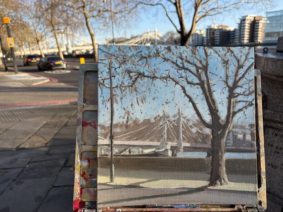 Albert Bridge winter