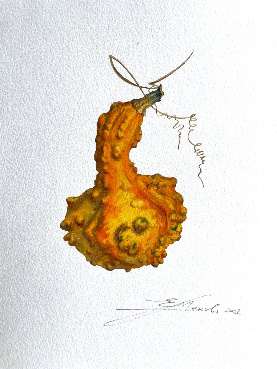 Watercolor with orange pumpkin by Evgeniia Mekhova