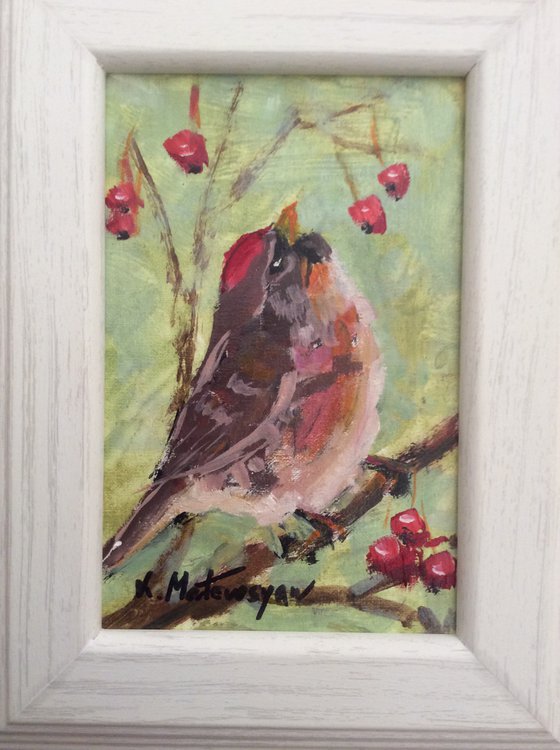 Cheerful Visitor