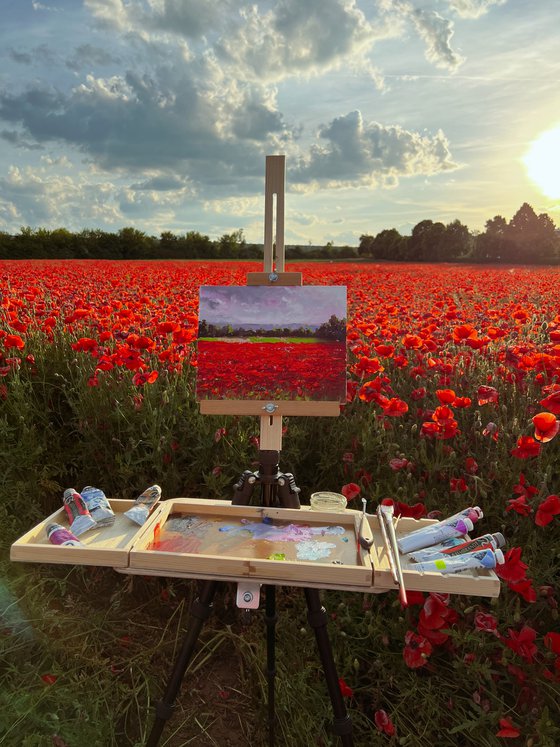 The poppy field