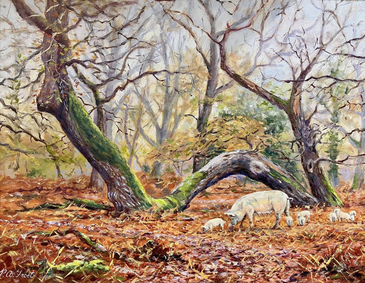 Illustrative Oil Painting , Vinney Ridge Pigs By Peter Frost, 22 X 19, Artwork For Sale On Artfinder