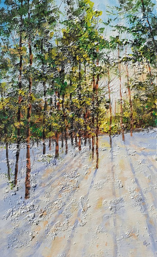 "Four shades of winter 4" by Ivan  Grozdanovski