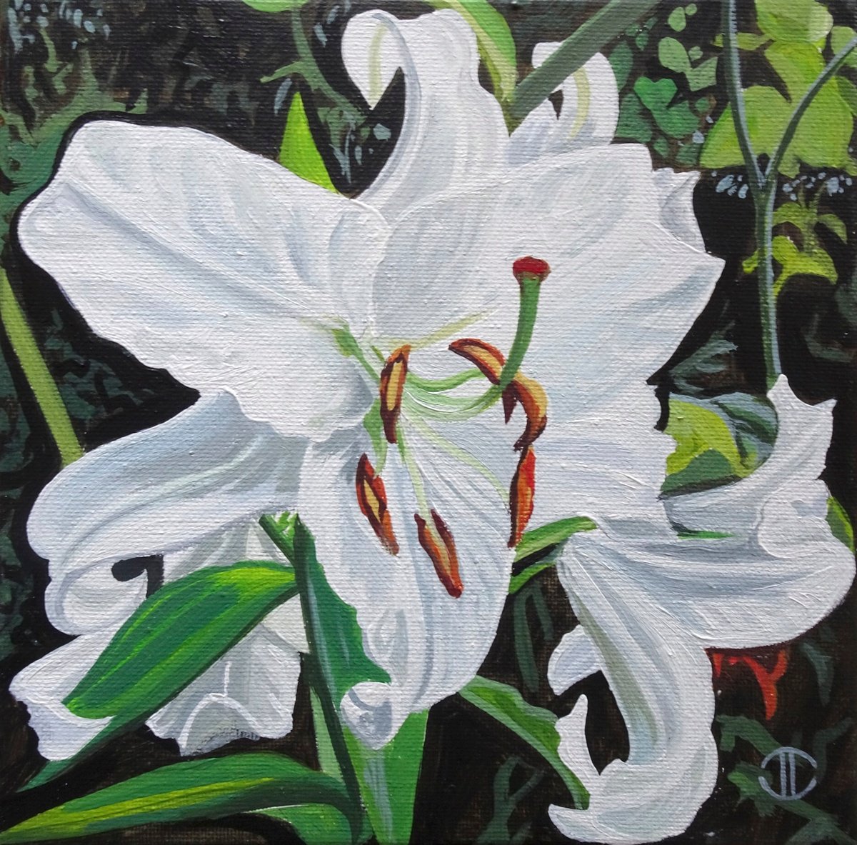 Impressionistic Botanical Acrylic Painting By Joseph Lynch, 8 X 8, White Lilies In The Sunlight, Original Artwork