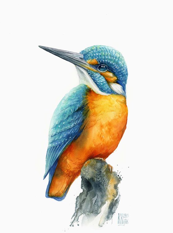 Emerald and Fire: The Kingfisher's Allure