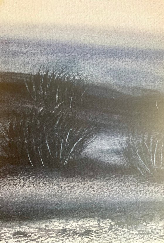 Dunes, grasses, sea