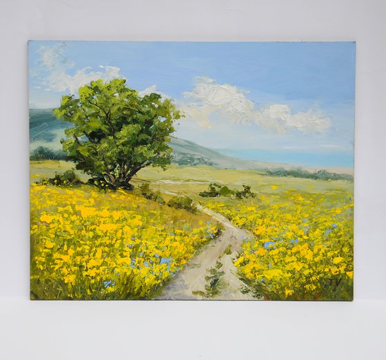 Sunlit Summer Meadow