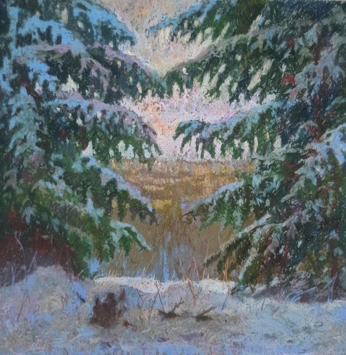 Snowy spruces by Olga Goryunova