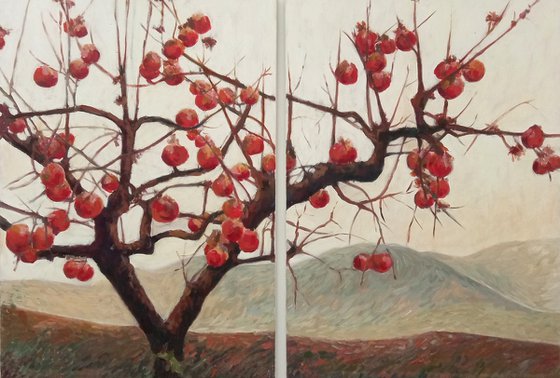 Caki trees