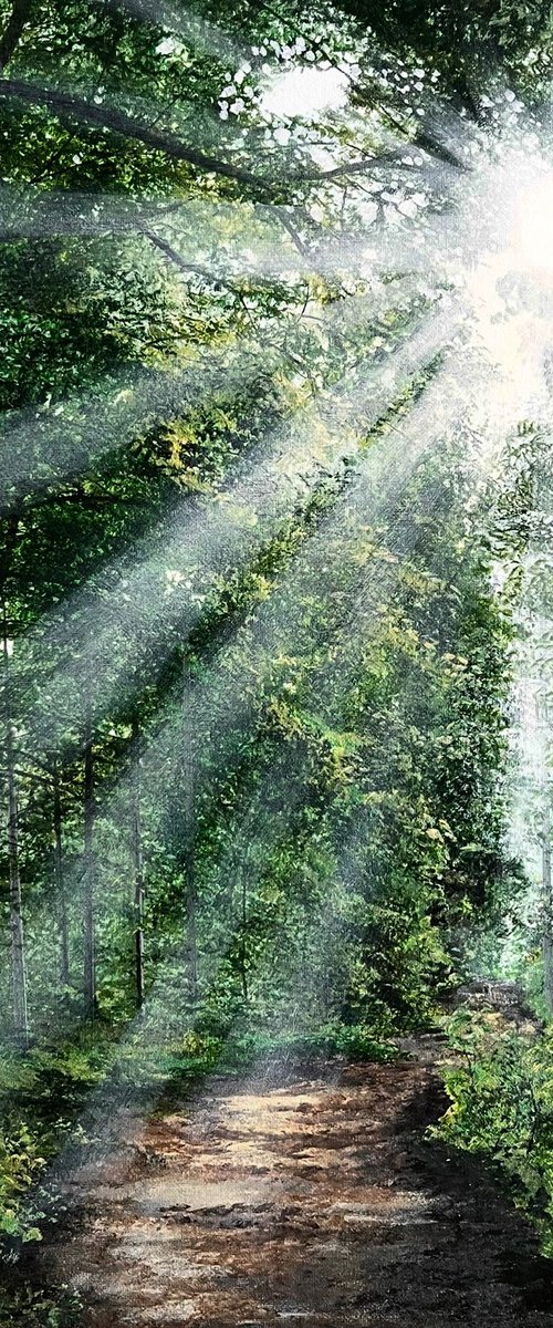 Nature's Secret by Victoria Obolensky