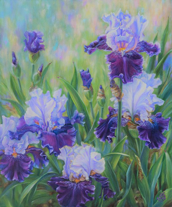 Irises