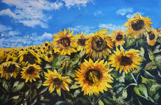 Sunflowers