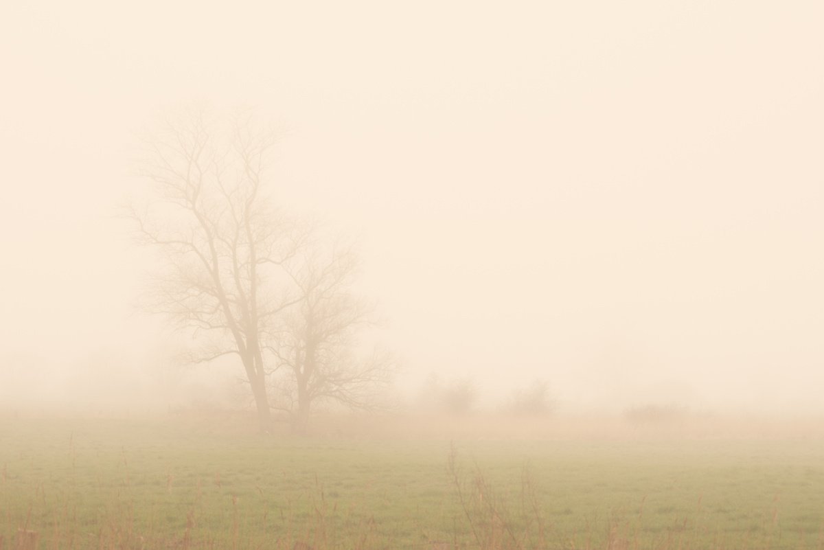 foggy landscape 3 by Jochim Lichtenberger