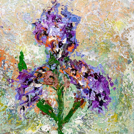 Symphony of Iris flower - Blue Iris