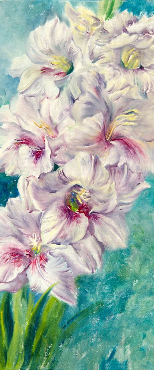 White gladiolus by Daria Galinski