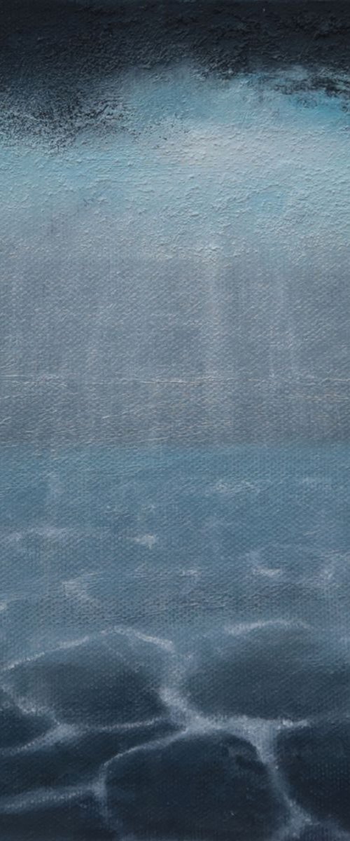 Floe 6: Disappearing World by Howard Sills