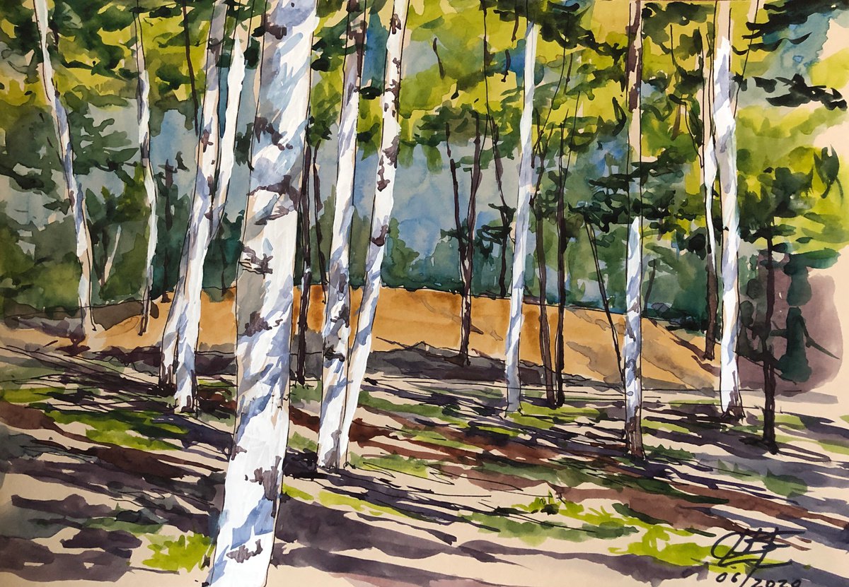 Birches. Shadows by OLGA BELOBORODOVA